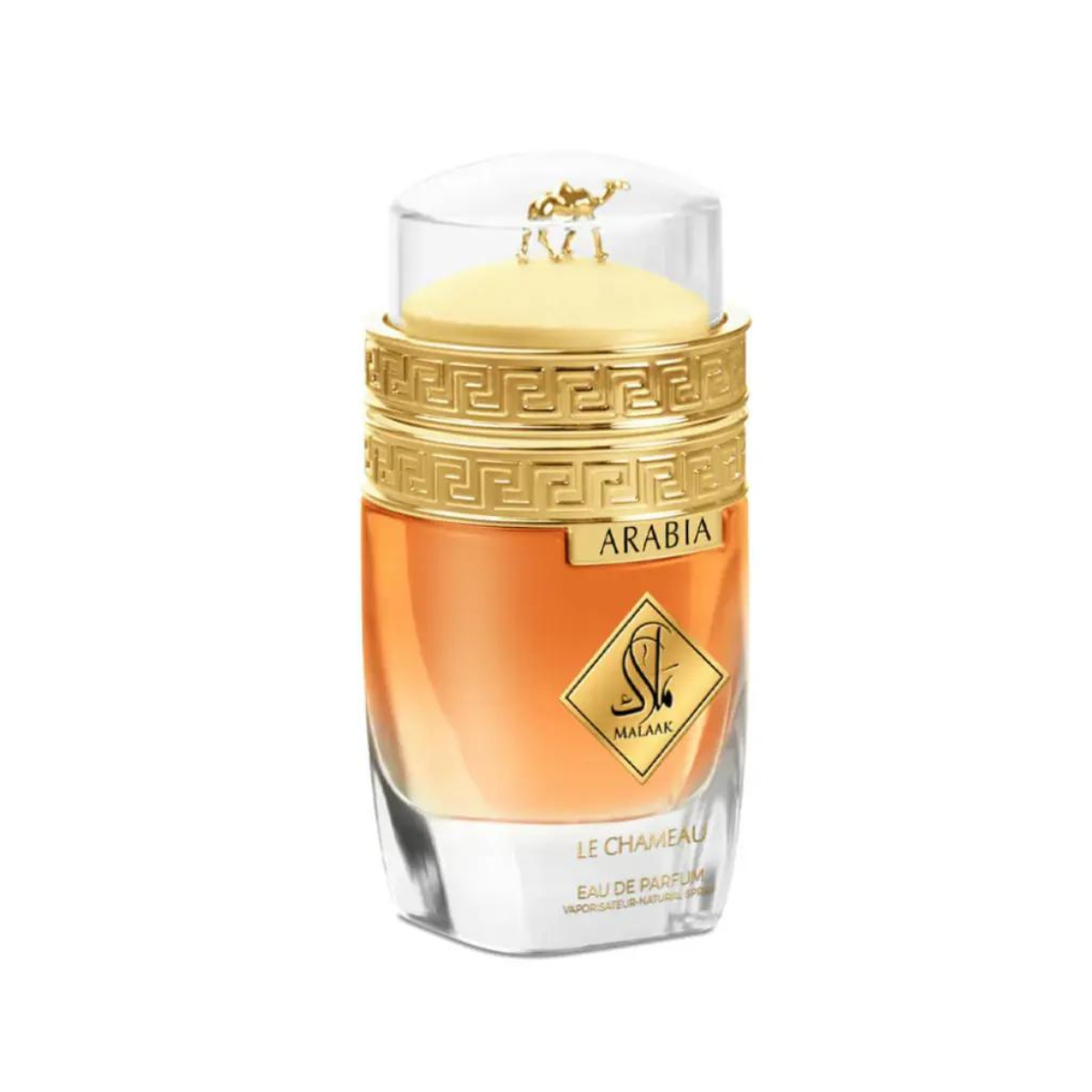 Arabia Malaak Le Chameau | EDP Amaderado Oriental | 100ml