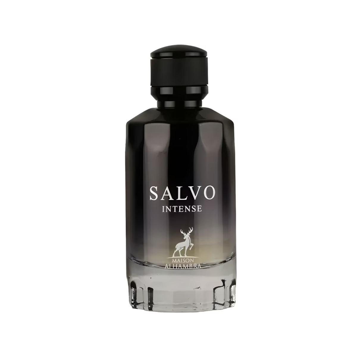 Salvo Intense Maison Alhambra | EDP Amaderado Oriental | 100ml